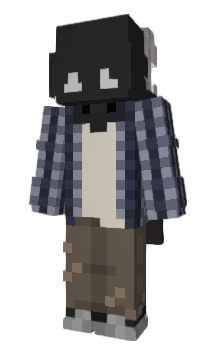 Minecraft скин по нику fizzix