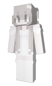 Minecraft skin highwayking