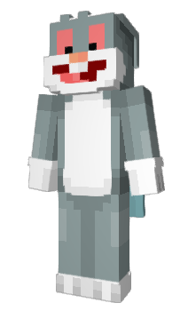 Minecraft skin hiroow