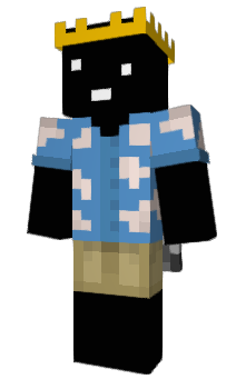 Minecraft skin imBasicKing