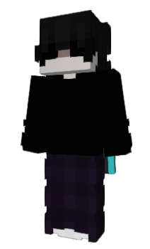 Minecraft skin internor