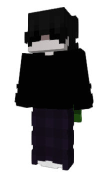Minecraft skin internor