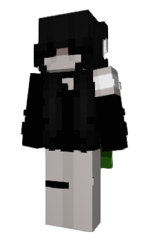 Minecraft skin iypa