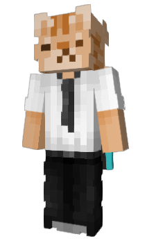 Minecraft skin komosidlo