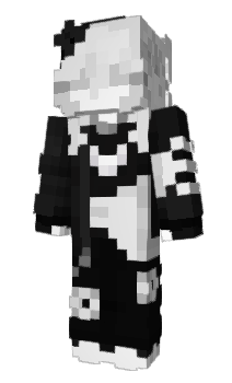 Minecraft skin l2nr