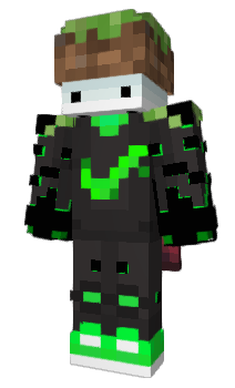 Minecraft skin landieeee