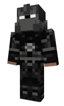 Minecraft skin liixa