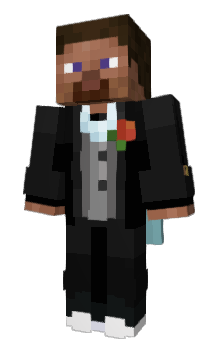Minecraft skin maxeins