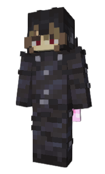 Minecraft skin nisku