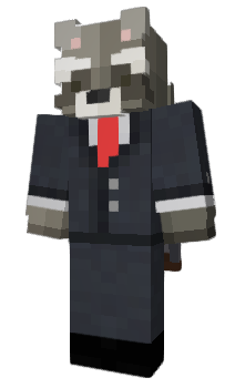 Minecraft skin not_a_racc0on
