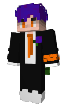 Minecraft skin noteer