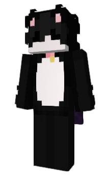 Minecraft skin piwrce