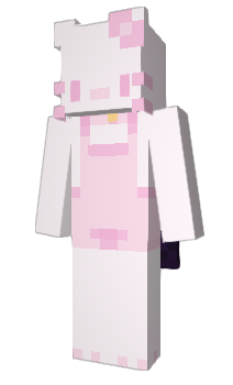 Minecraft skin porze