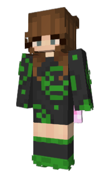 Minecraft skin pvach