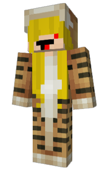 Minecraft skin qVarious