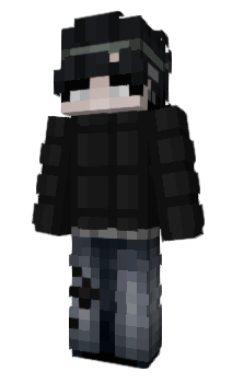 Minecraft скін по ніку raeer