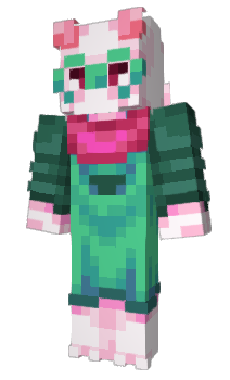 Minecraft скин по нику raniummnxx
