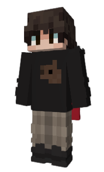 Minecraft skin reversl