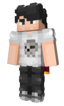 Minecraft skin rokbi