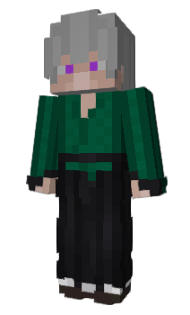 Minecraft skin roopic
