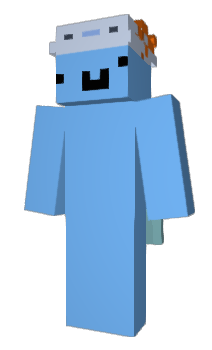 Minecraft skin sapwn