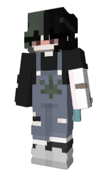 Minecraft скин по нику schizoktty