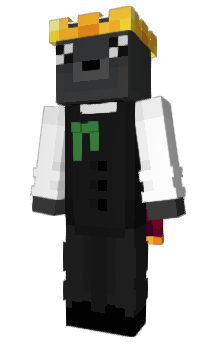 Minecraft скін по ніку sealkingg