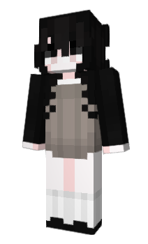 Minecraft skin seinmi