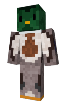 Minecraft скин по нику signm