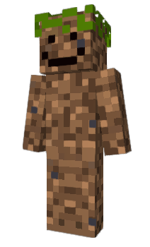 Minecraft skin superbow