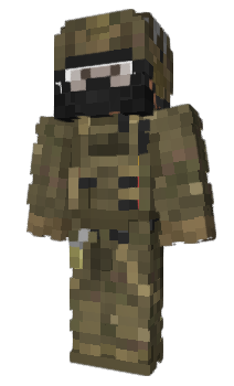 Minecraft скін по ніку swampbear29