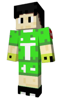 Minecraft skin tebohussen
