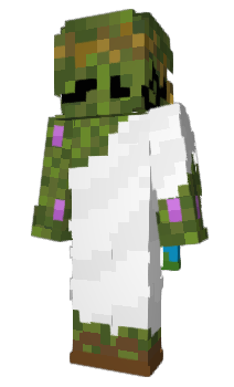 Minecraft skin theendf