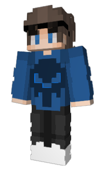 Minecraft skin thepuninsher