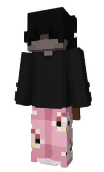 Minecraft skin vhjz