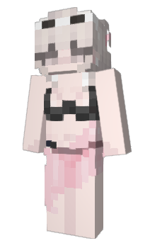 Minecraft skin vmsr