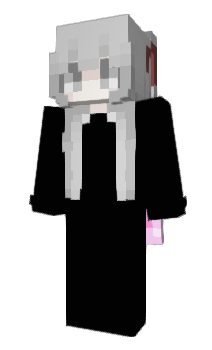 Minecraft skin vnsu