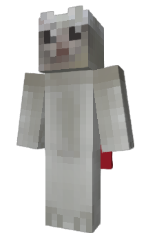 Minecraft скін по ніку w0ider