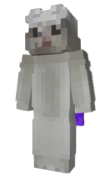Minecraft skin wblza