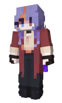 Minecraft skin wi1nw