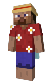 Minecraft skin wrobe