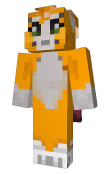 Minecraft skin wtcn