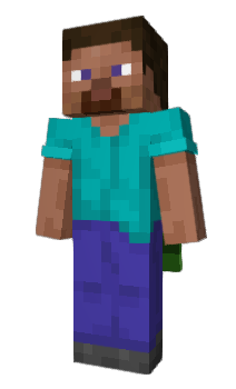 Minecraft skin wwwqt