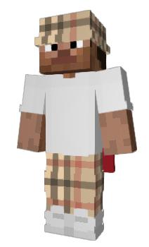 Minecraft skin zf5a