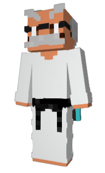 Minecraft скин по нику zgpy