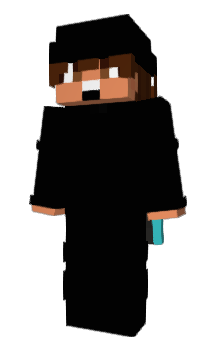 Minecraft skin zgpy