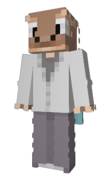 Minecraft скин по нику zoib