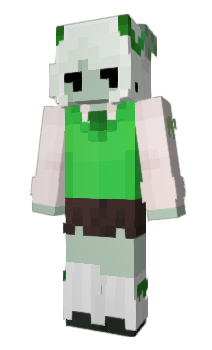 Minecraft skin zoidylol