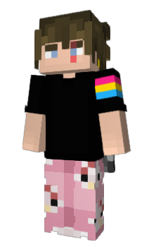 Minecraft skin zwyNL