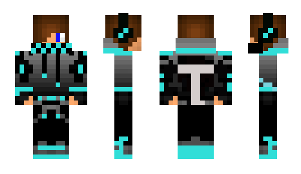 Minecraft skin tinje